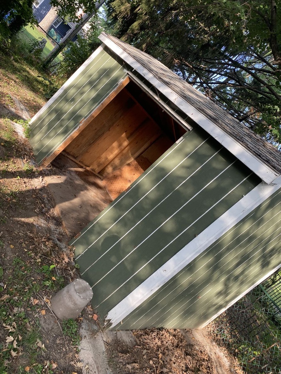 Outbuilding and property area being prepared for a cleanout